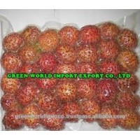 FROZEN RAMBUTAN FRUIT, PASSED FDA AND KFDA, JAPAN MARKET !