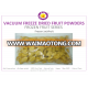 High quality IQF Frozen Jackfruit seedless from Thailand : Frozen Jackfruit 100%