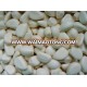 IQF grade A frozen garlic