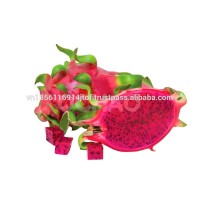 High quality IQF frozen red dragon fruit