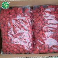 Highest quality service new season best price hot selling frozen raspberry