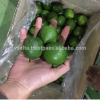 Fresh / frozen Seedless Lime