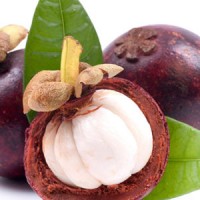 Frozen Mangosteen from Vietnam with high quality