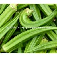 iqf fresh frozen okra and frozen vegetables okra price