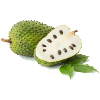 Soursop frozen good price