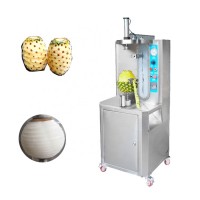 Electric fruit vegetable skin peeler pumpkin coconut pineapple peeling machine