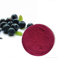 China factory acai berry pulp frozen dried powder for cosmetics skin care