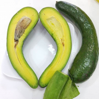 FRESH AVOCADO with Good price and HIGH QUALITY 2019