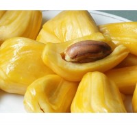 FRESH/FROZEN JACKFRUIT VIETNAM