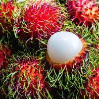 Frozen rambutan